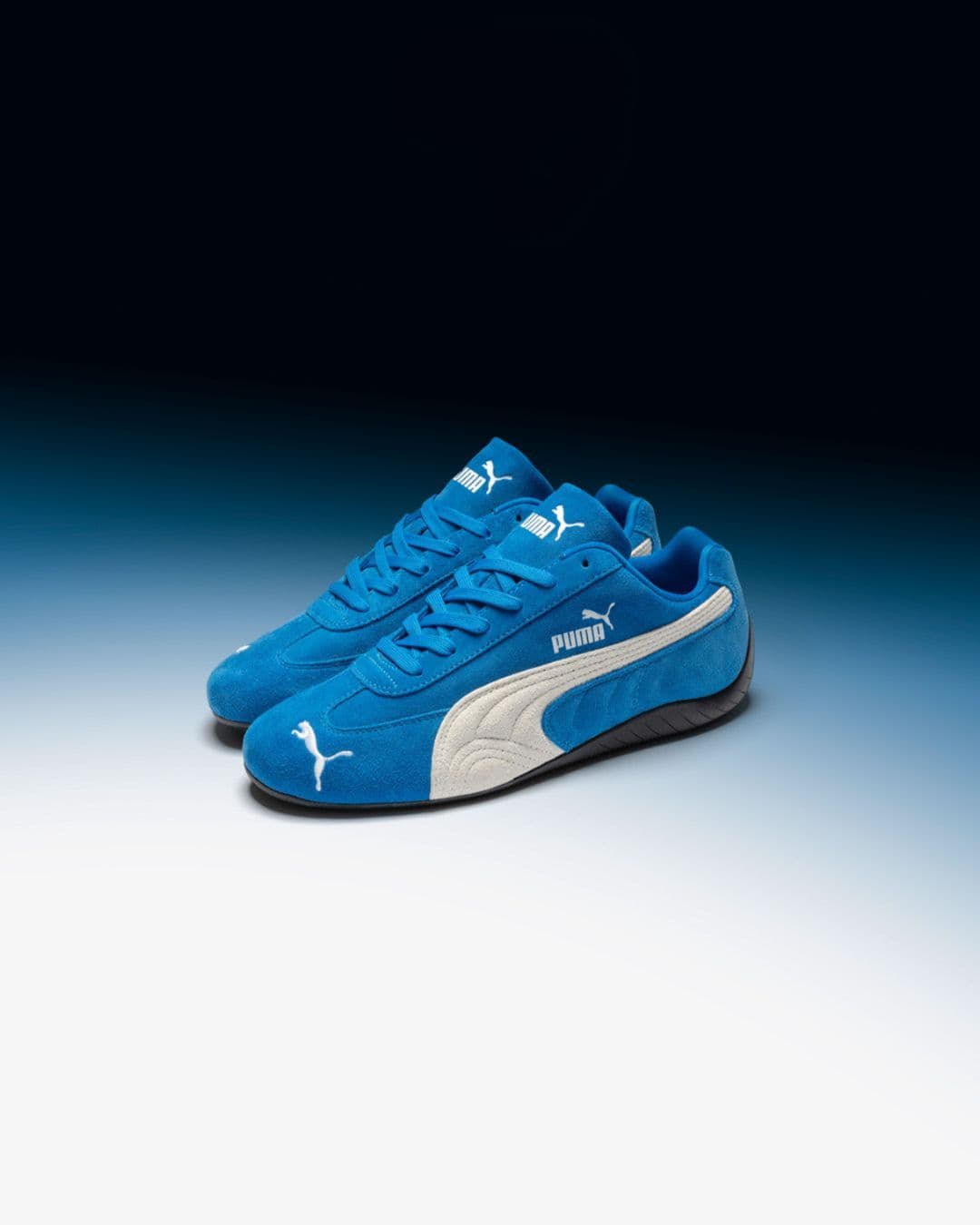 Sneaks Plus